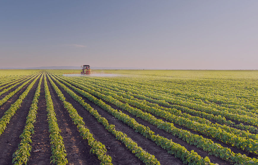Agriculture Services