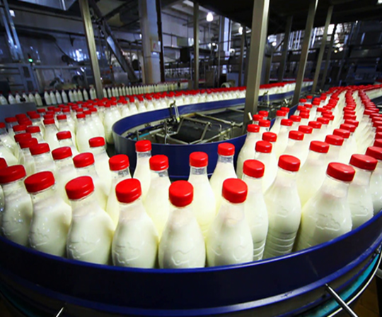 Ansab Baghdad Dairy Products Company